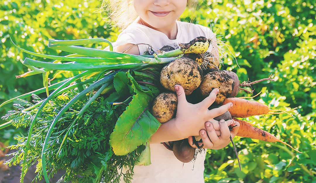 8 cosas que debes saber sobre los alimentos orgánicos | Blog | San Pablo Natural | Blog