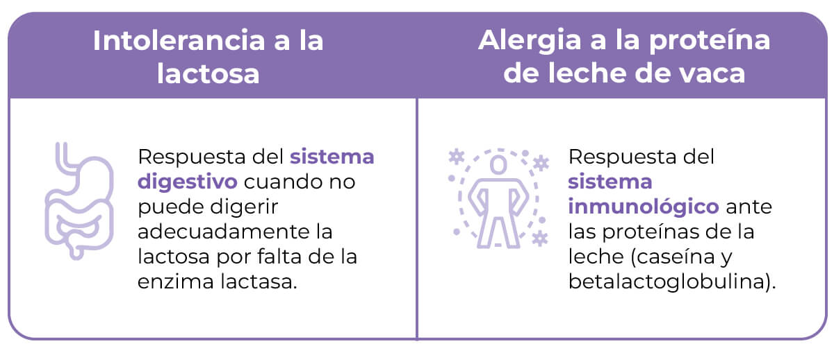 Reacciones a los productos lácteos | Bebés | San Pablo Farmacia