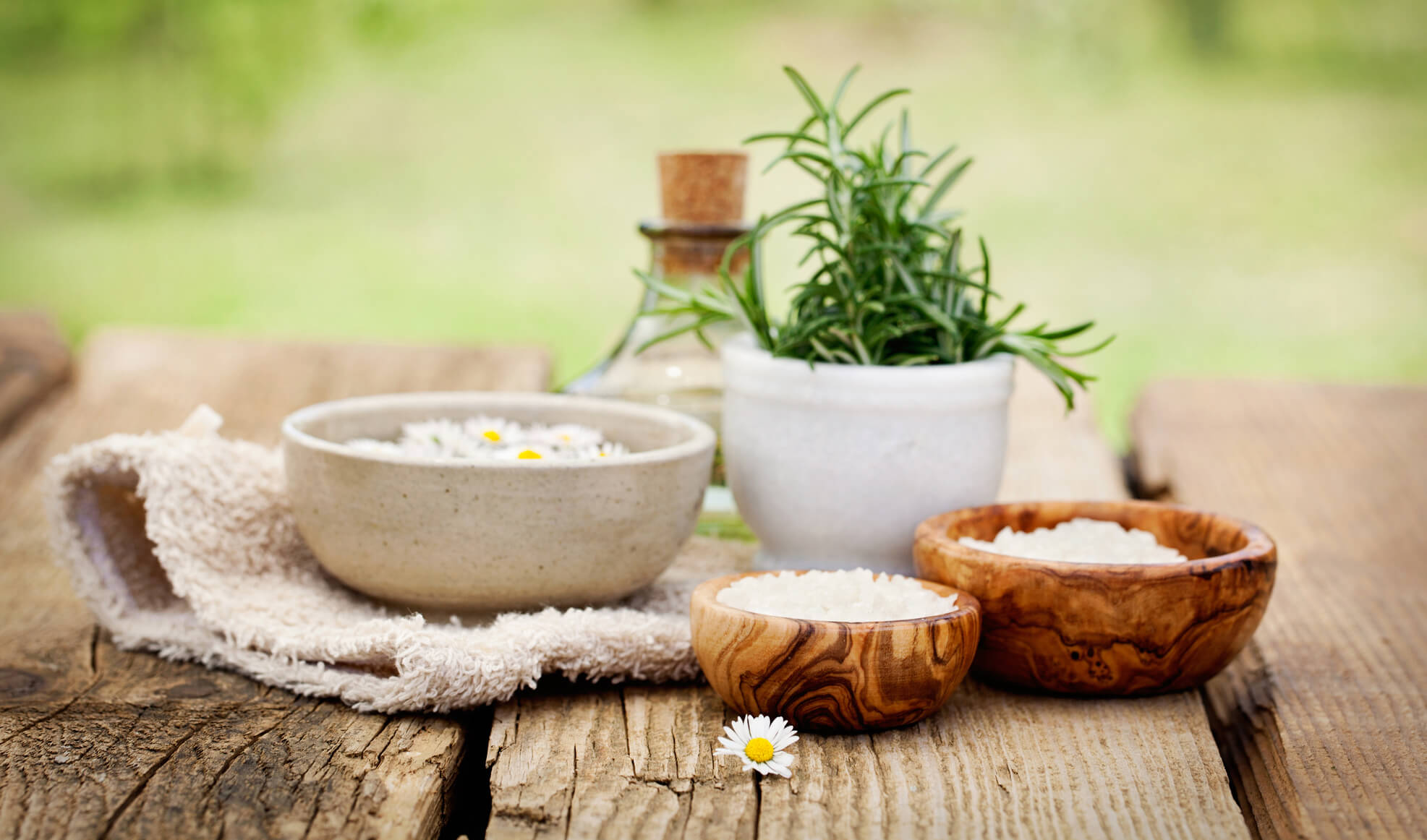 Los Súper usos del Aceite de Árbol de Té | San Pablo Natural | Blog