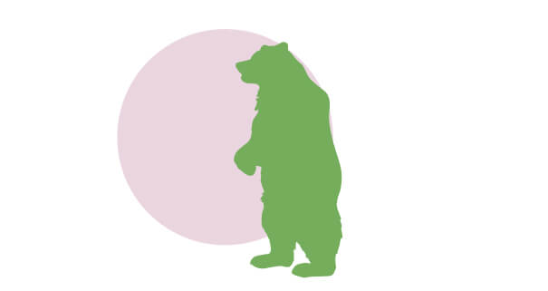 Oso en dos patas | Cuáles son los derechos de los animales | Blog | San Pablo Natural