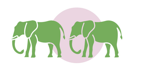 Dos elefantes | Cuáles son los derechos de los animales | Blog | San Pablo Natural