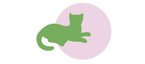Gato recostado | Cuáles son los derechos de los animales | Blog | San Pablo Natural