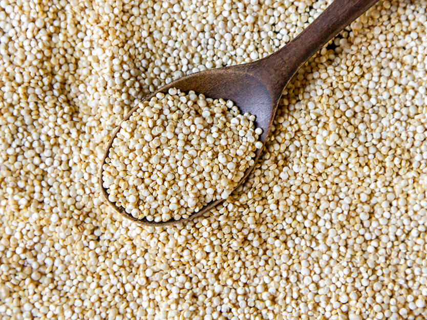 ¿Buscas recetas de ensaladas navideñas? | San Pablo Natural | San Pablo Farmacia