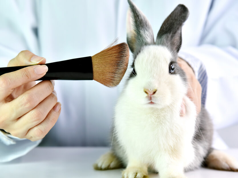 Elige productos cruelty free | San Pablo Natural | San Pablo Farmacia