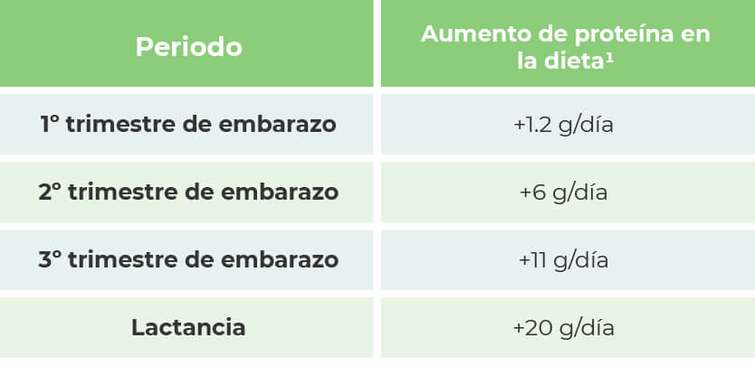 Requerimientos de proteínas | Blog | San Pablo Natural