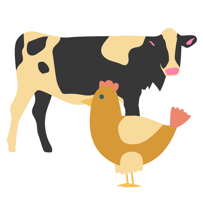 Vaca y gallina | Blog | San Pablo Natural