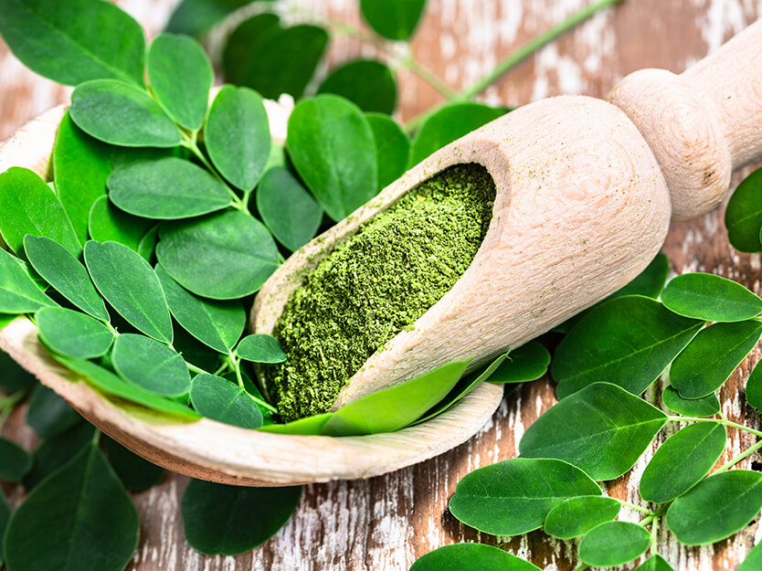 Q&A: ¿Para qué sirve el aceite de moringa? | San Pablo Natural | San Pablo Farmacia