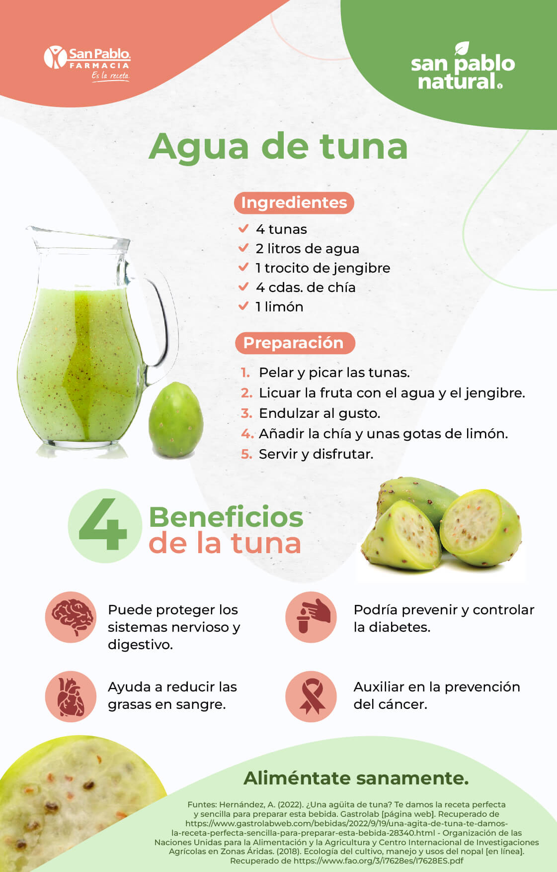 Infografía Agua de tuna | Blog | San Pablo Natural