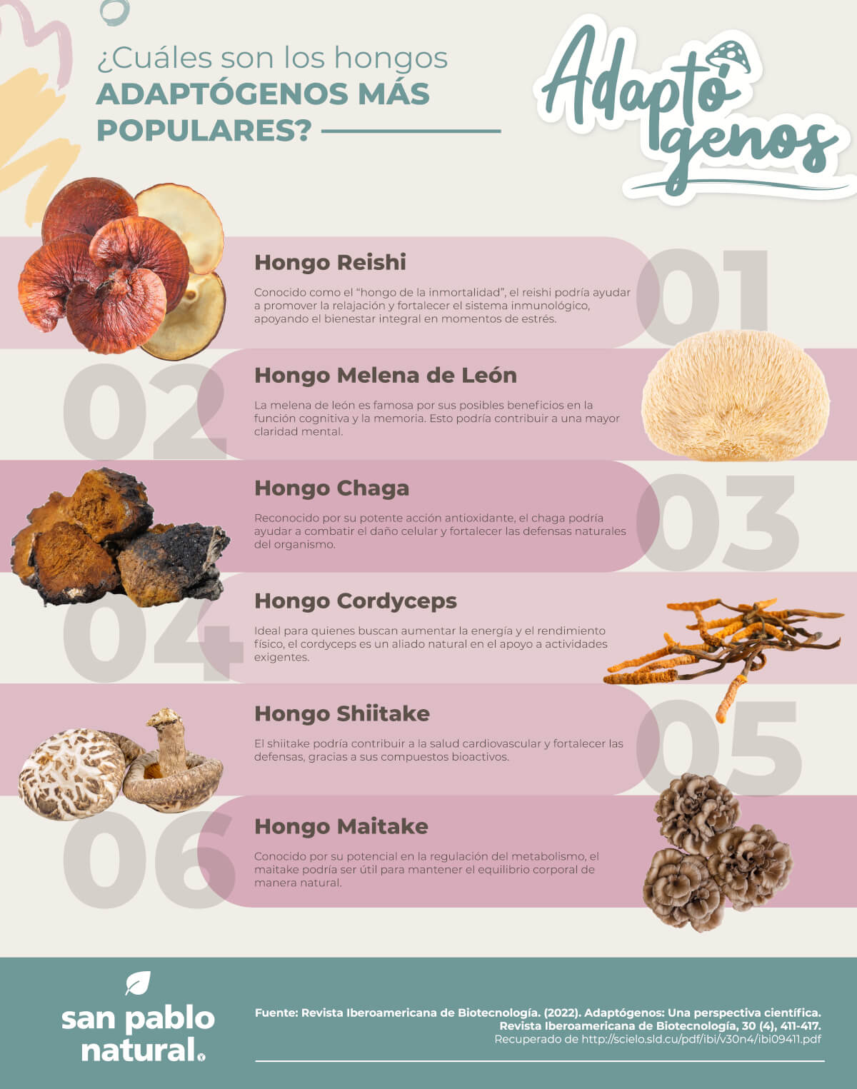 Infografia de los adaptogenos