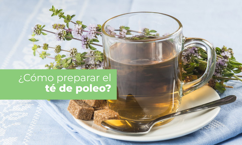 como-se-prepara-el-te-de-poleo