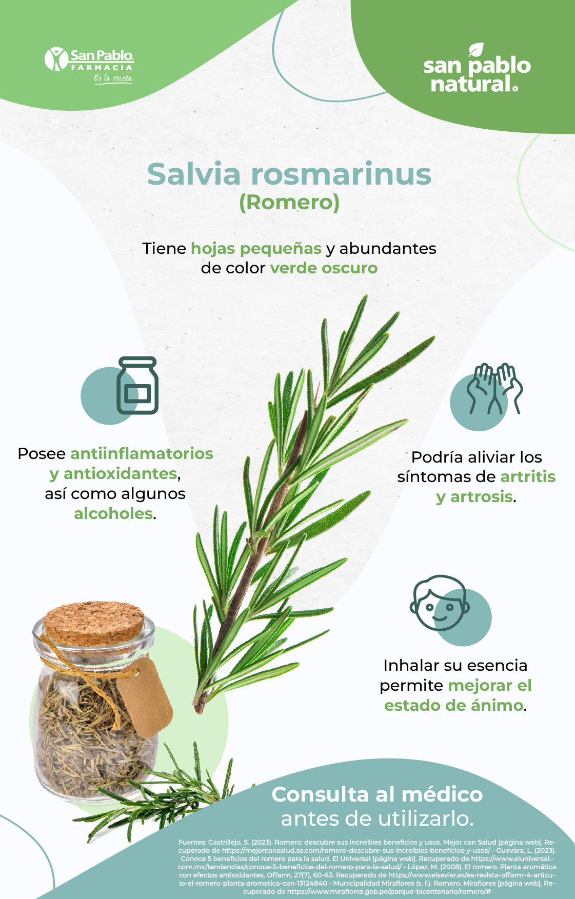 Infografía Salvia rosmarinus (Romero) | Blog | San Pablo Natural