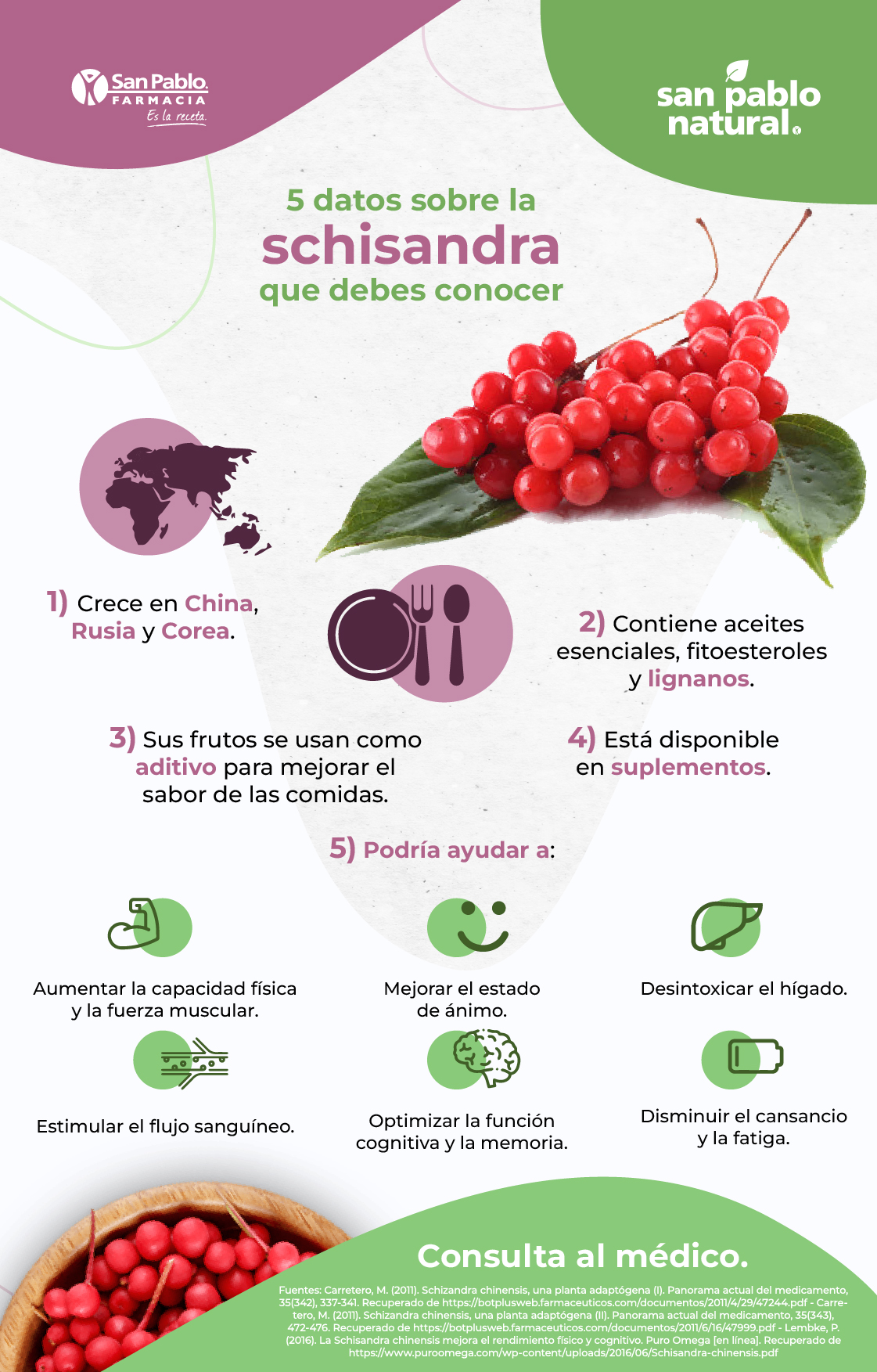 Infografía 5 datos sobre la schisandra que debes conocer | Blog | San Pablo Natural