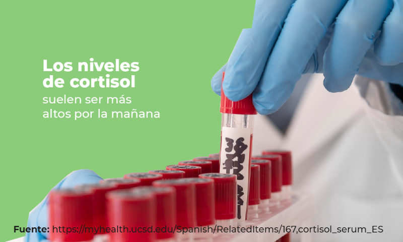 niveles-de-cortisol