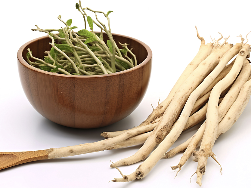 Shatavari para la mujer | Blog | San Pablo Natural