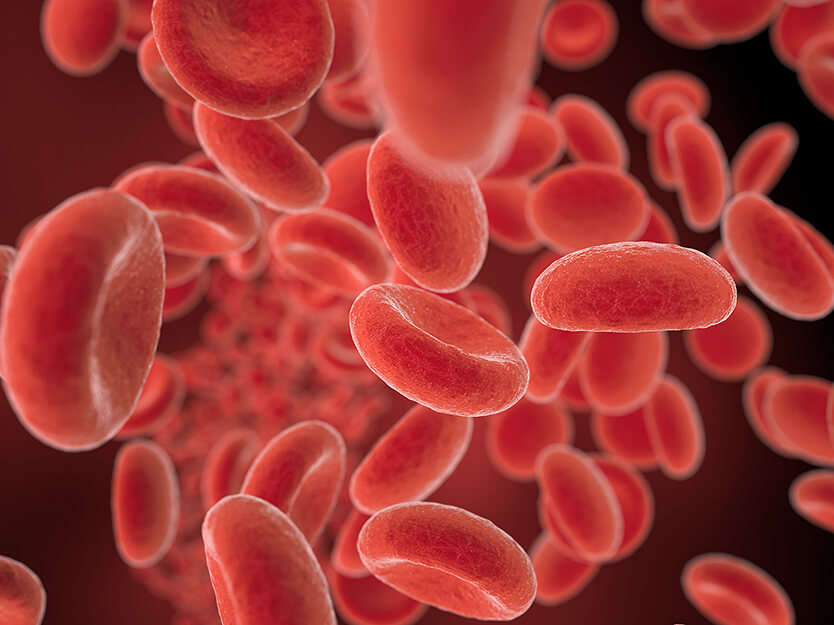 Análisis de la hemoglobina glicada (HbA1c) | SPF | San Pablo Farmacia