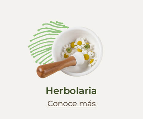 Home | Categoría Herbolaria