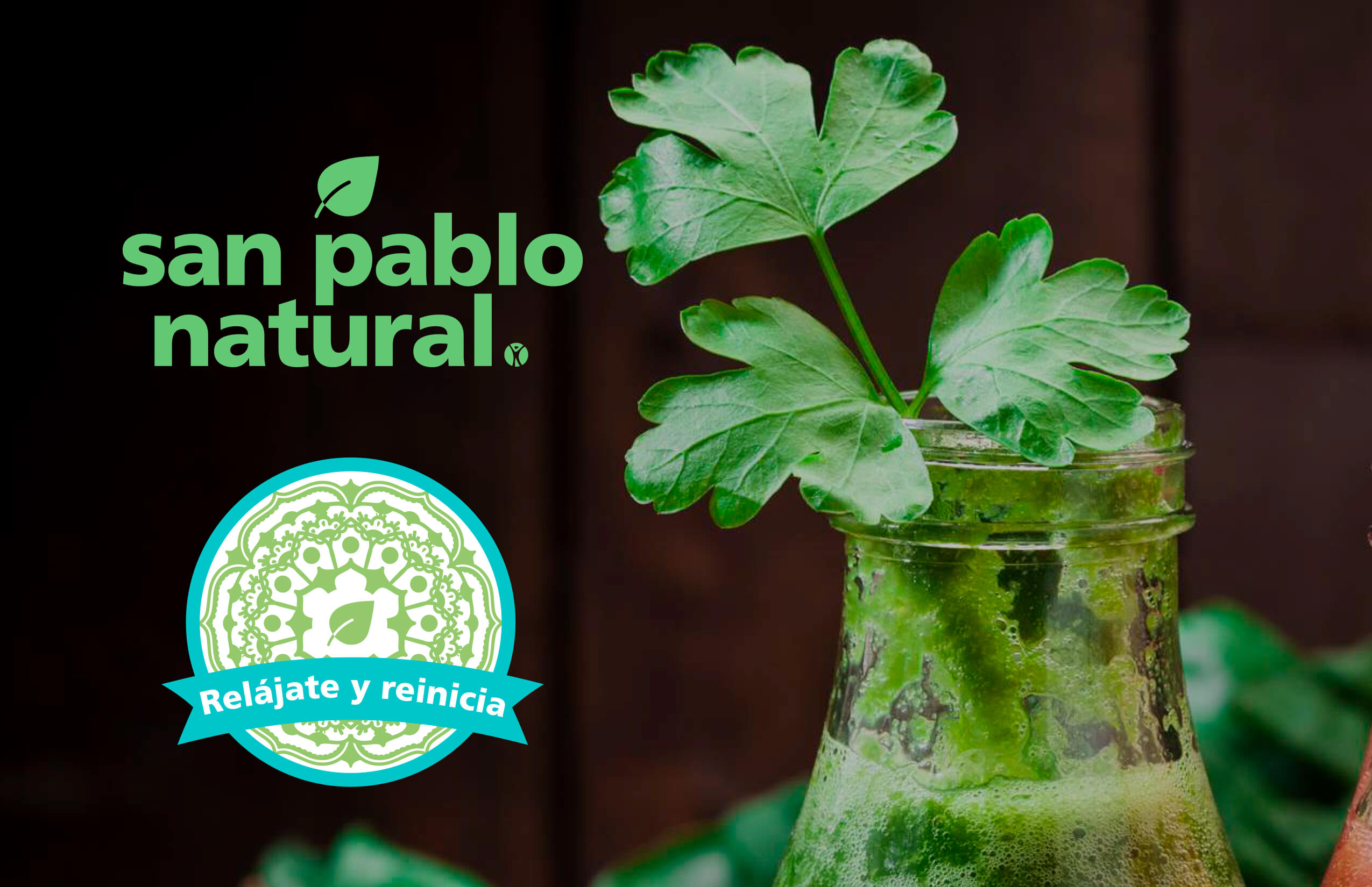 Recetario Relájate y Reinicia | San Pablo Natural | Blog