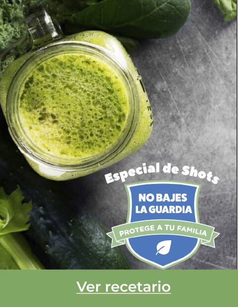 Recetario Al Natural